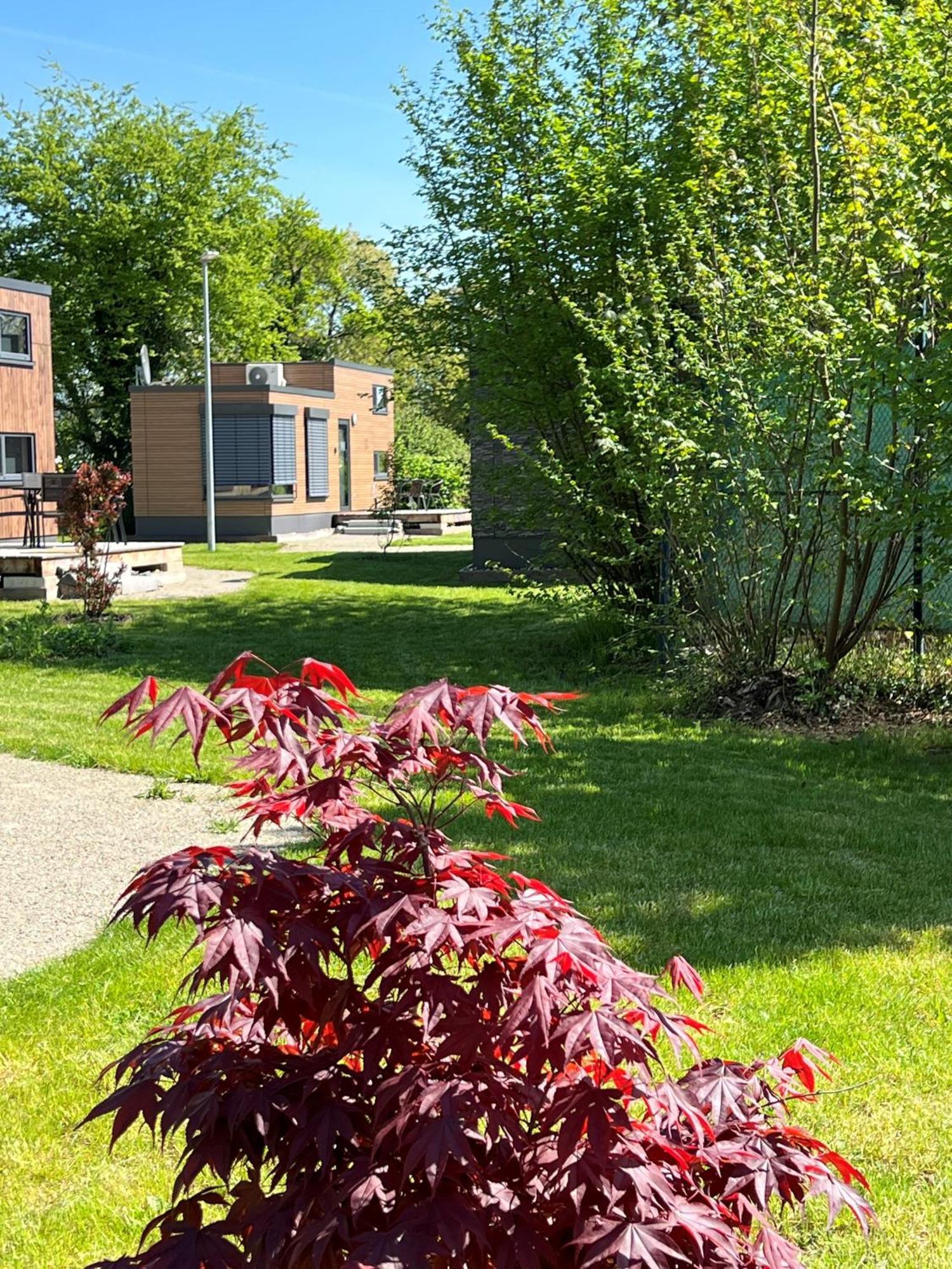 Vila Tiny Haus Park Fritzlar Exteriér fotografie